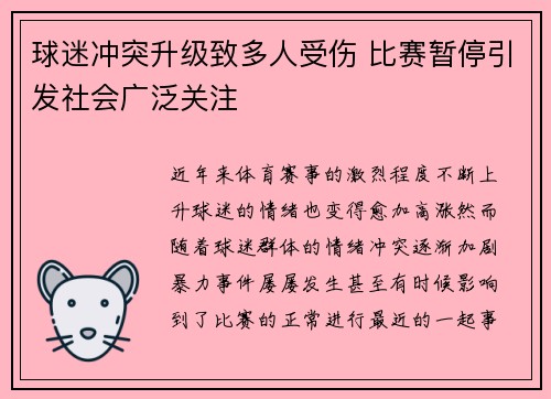 球迷冲突升级致多人受伤 比赛暂停引发社会广泛关注